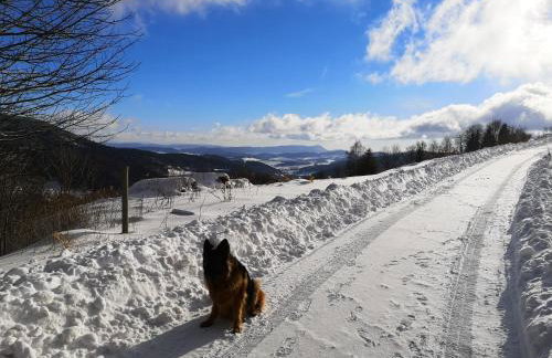 Orle Gniazdo - Foto 45
