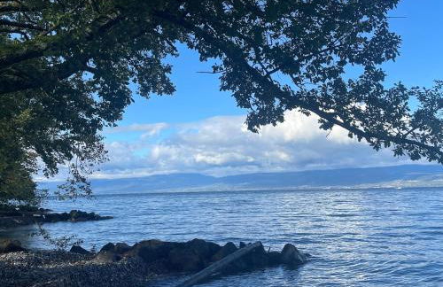 Une escale face au lac Léman - Photo 14