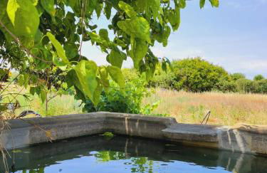 Montinho do Palanque - Foto 45