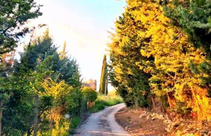 Donna Caterina House -Sicily-Hot tub, private parking, WI-FI - Foto 42