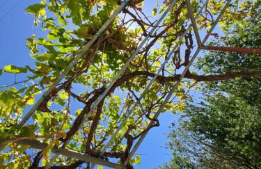 ΠΑΡΑΔΟΣΙΑΚΗ Κατοικία ΛΑΖΑΡΑΤΑ - Photo 54