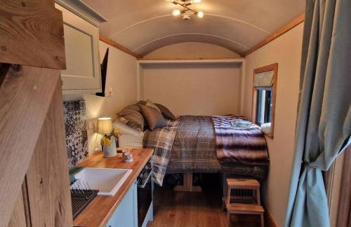 Cosy Owl - Shepherds Hut - Foto 36