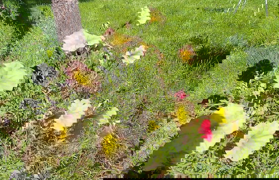 Tumba Sisli Vadi - Foto 71