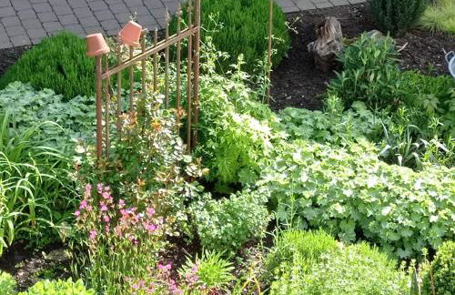 Ferienwohnung Sauerland Burgfenster - Foto 16