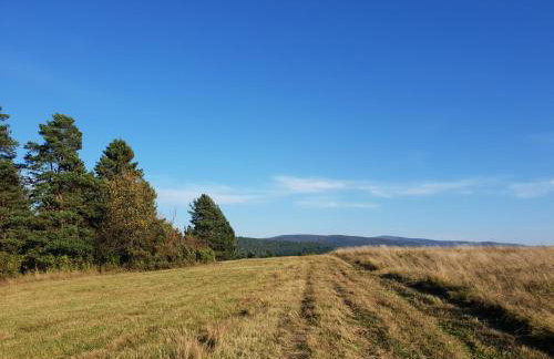 Przystanek Letnisko - Foto 38