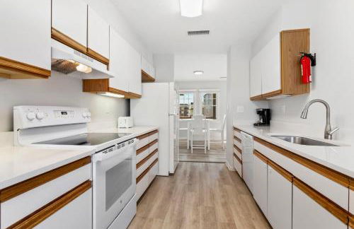 CAC-23B - Zebrafish - Foto 11