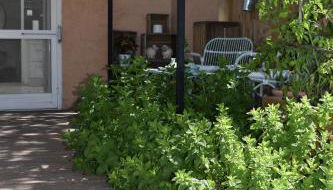 Le Jas des Oliviers 3 étoiles - Foto 5