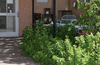 Le Jas des Oliviers 3 étoiles - Foto 5