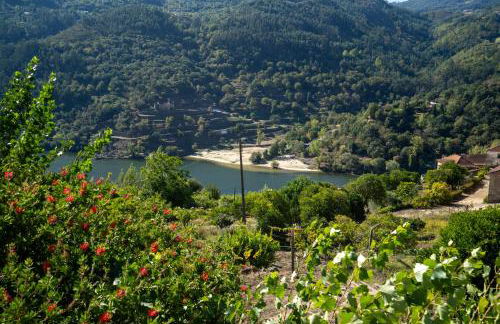 Casa Amarela - Foto 34