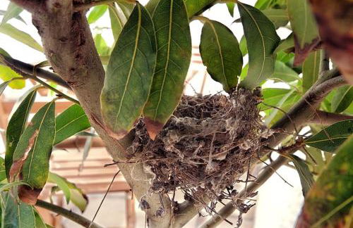 Casa el Tratado, situada en el casco histórico con patio privado - Photo 18