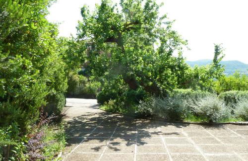 Agriturismo La Vecchia Quercia - Foto 104