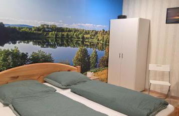 Vulkaneifeloase optional mit Sauna - Foto 10