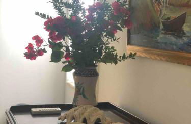 Le tre Palme - Foto 75