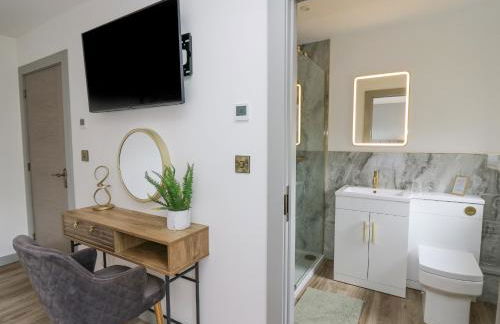 Barcud Coch - Red Kite - Photo 19