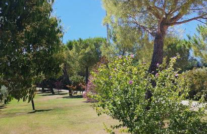 Villa Giulia, a splendid farmhouse in the Marche region - Foto 22