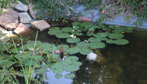 Villa-Fuldablick - Foto 3, Garden
