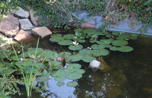 Villa-Fuldablick - Foto 3