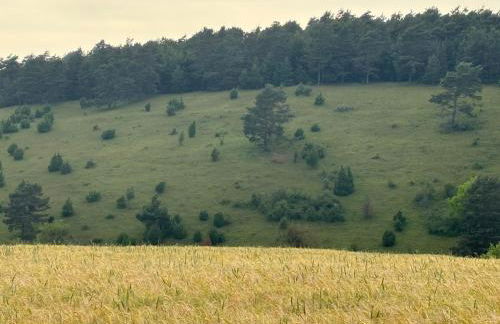 Fass ohne Boden Haus Levi - Photo 19