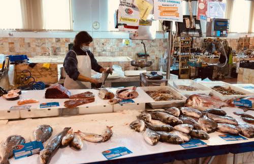 Casinha do Burro, Casas do Poente, Rogil, Aljezur - Photo 13