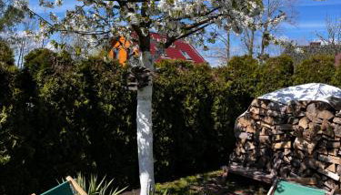 A&R Rewa Apartament - Foto 3, Garden, sunbed, Garden view