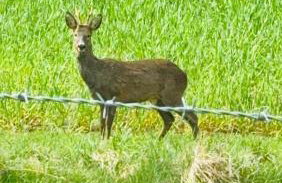 Turnpike House - Foto 78