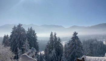 Traumhaus sensationeller Lage Traumhafter Bergblick absolute Ruhe - Foto 4