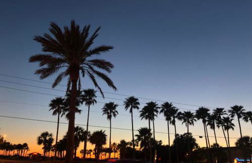 Beachfront Balcony Views - 2b 2b - The Shores #403 - Foto 31