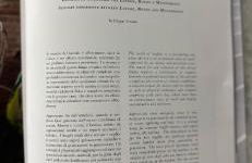 Tomati's House - Foto 20