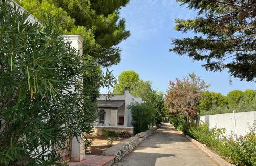 Casette Masseria La Camardia - Foto 38