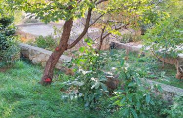 Apartman Mimi - Foto 51