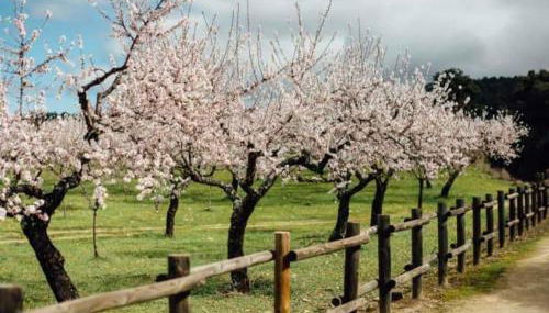 Villa Candoso - Foto 4