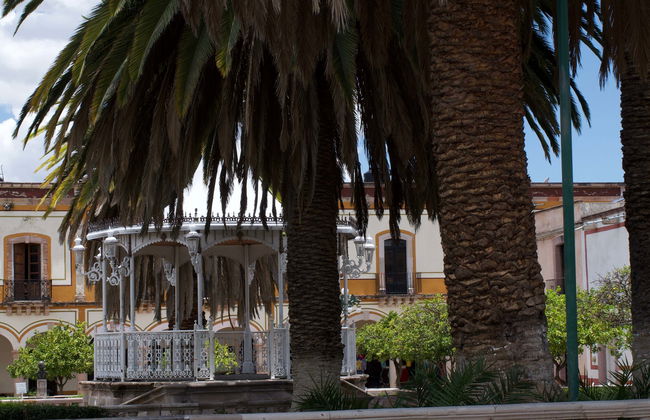 Excursión a Teúl - Foto 1