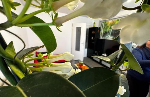 Les Dômes du Parc 4e App T3 et T1 proche de toutes commodités - Foto 20