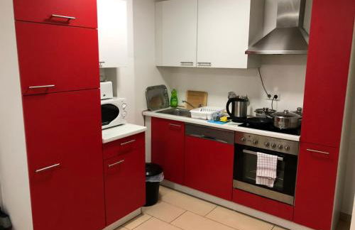 Sahara Falcon - Photo 130