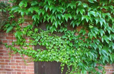 Avalon Połchowo - Foto 15