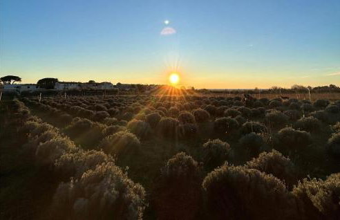 Cozy Home In Cervar With Sauna - Foto 18