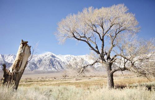 Luxury Design Rental with Breathtaking Mountain Views in Lone Pine, California - Foto 28