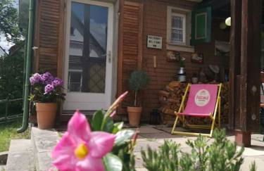 Idyllische kleine Ferienwohnung im Schwarzwald - Foto 10