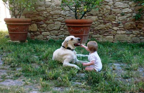 Podere Spedalone - Foto 47