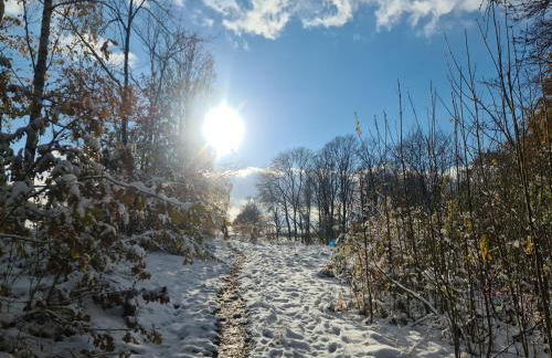 Gästehaus zum Rosengarten - Photo 75