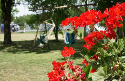 Osada Rycerska & Apartamenty Rycerskie - Foto 59