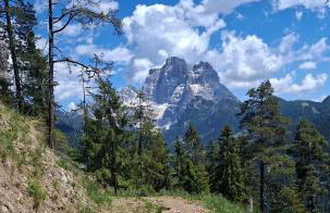 La Majon - Foto 20