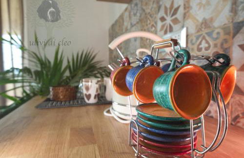 Ulivi di Cleo - Foto 40