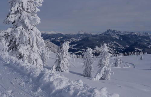 Laerchhof - Photo 54