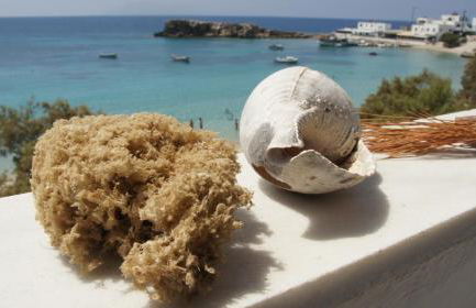 Nikos Studios - Foto 12