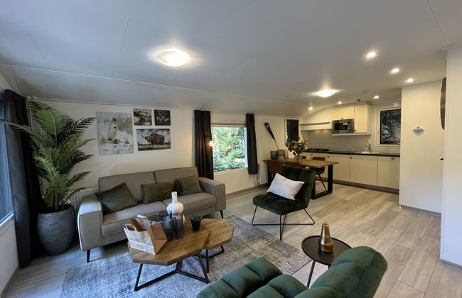 2 bedroom House in Dwingeloo with swimming pool and terrace - Photo 2