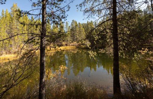 Lake Flora Cabin - Foto 17