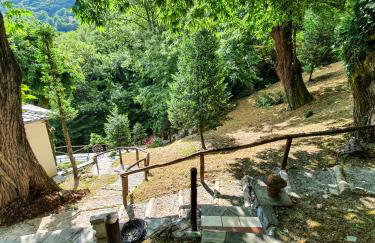 The Mushroom Cottage - Foto 11