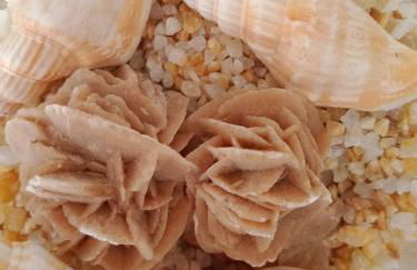 Home Sisters - Foto 42