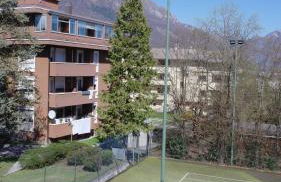 Comodamente - Foto 2